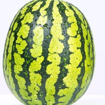 test-user-la's avatar