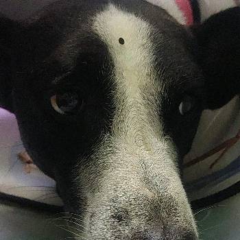 harry_hudinis112's avatar